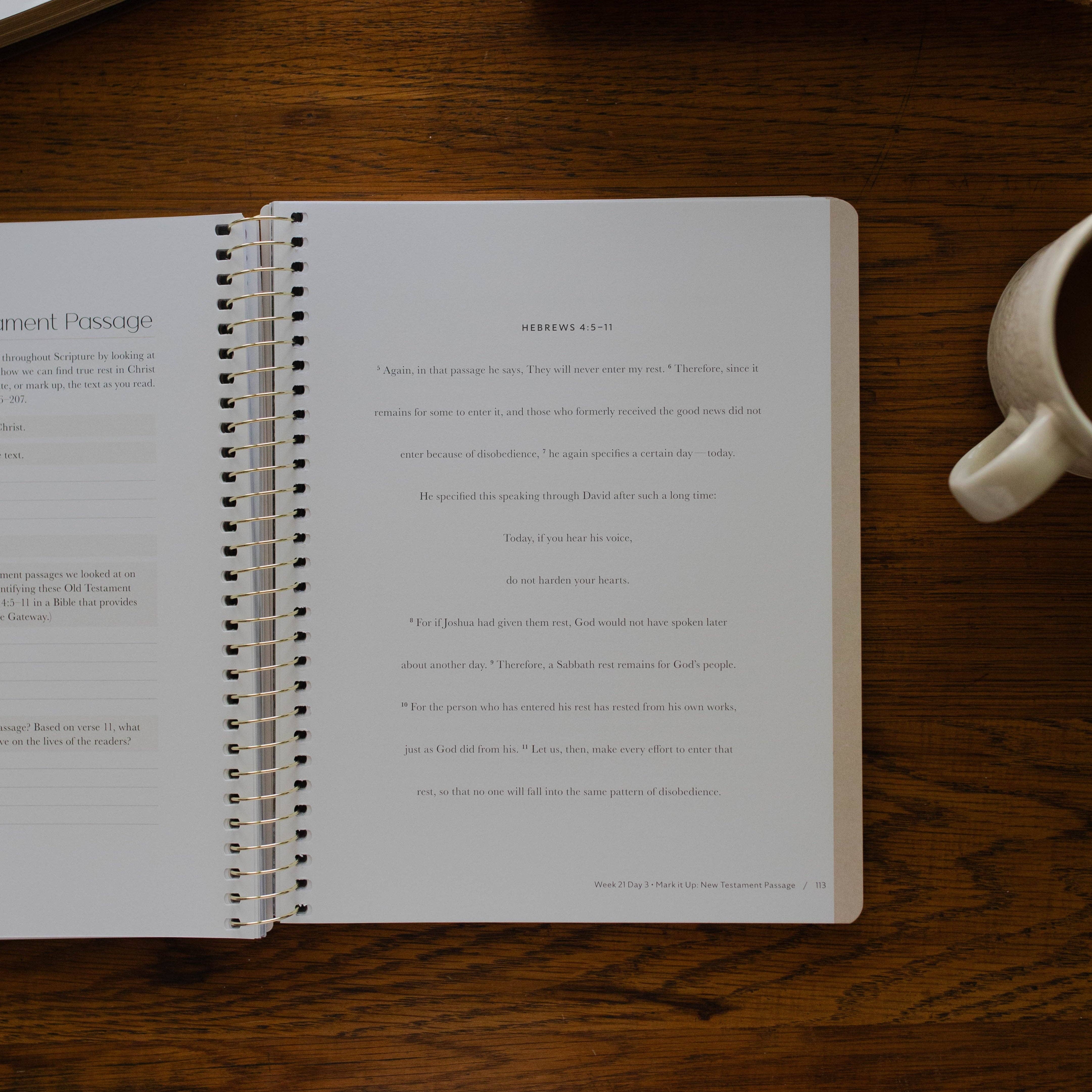 Christ in All of Scripture | Volume 2 Bible Study