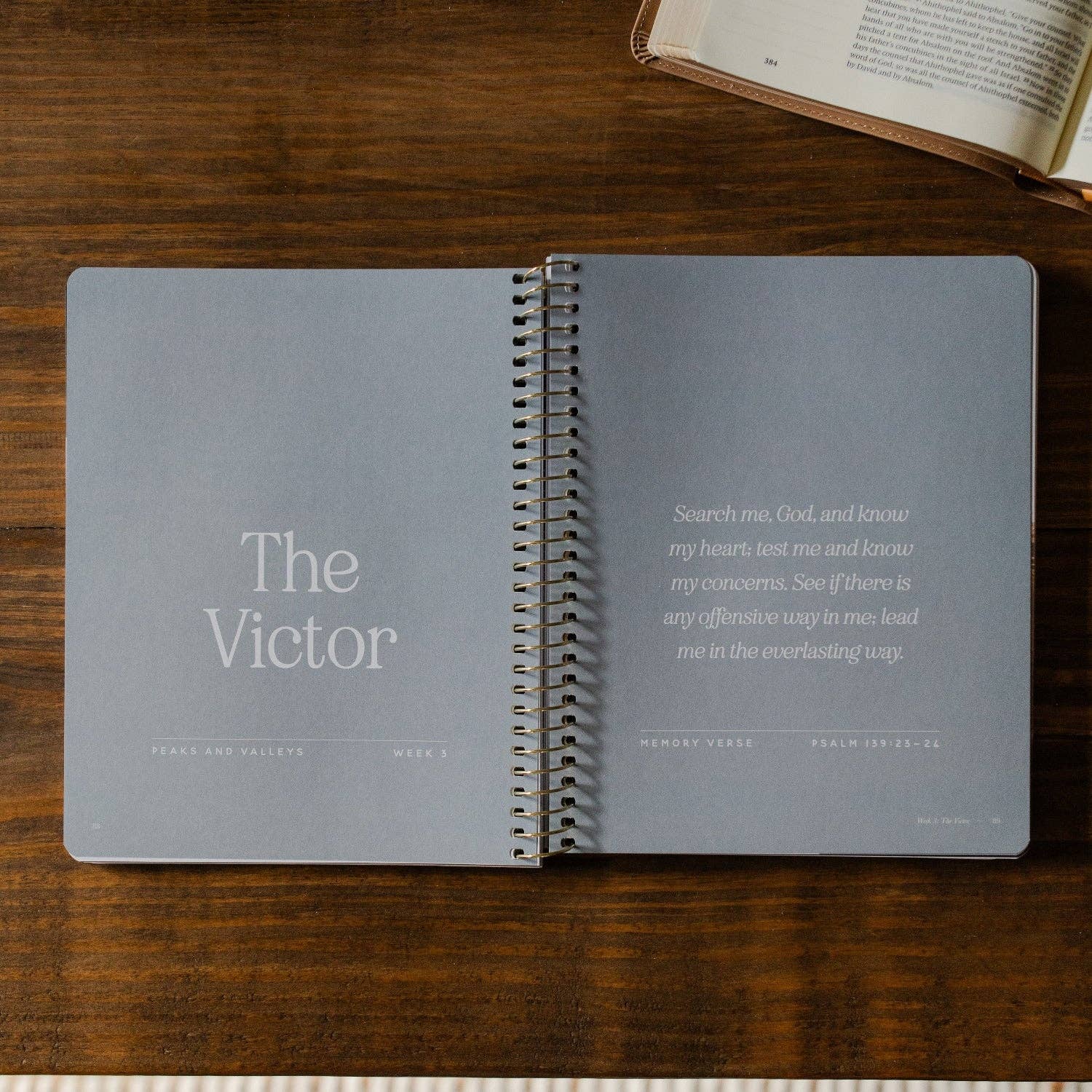 Peaks and Valleys Men's Bible Study