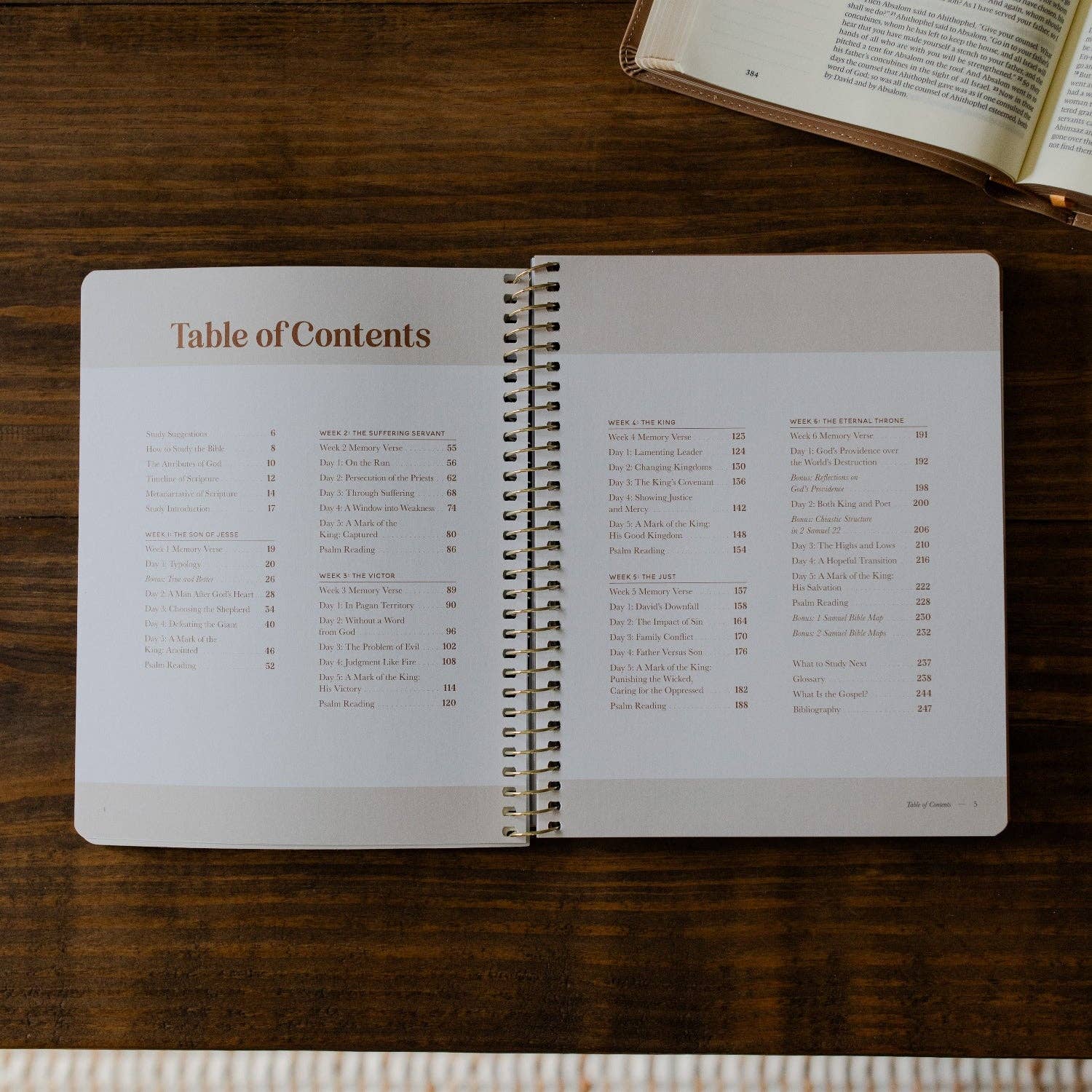 Peaks and Valleys Men's Bible Study