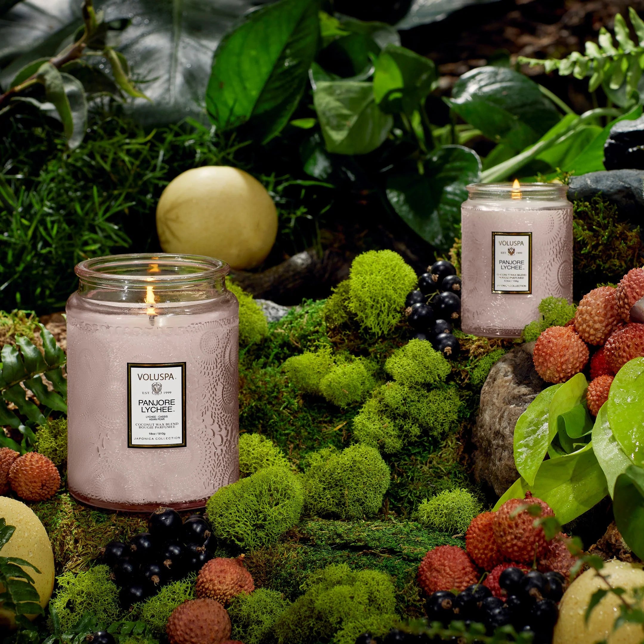 Voluspa Panjore Lychee 18oz Candle