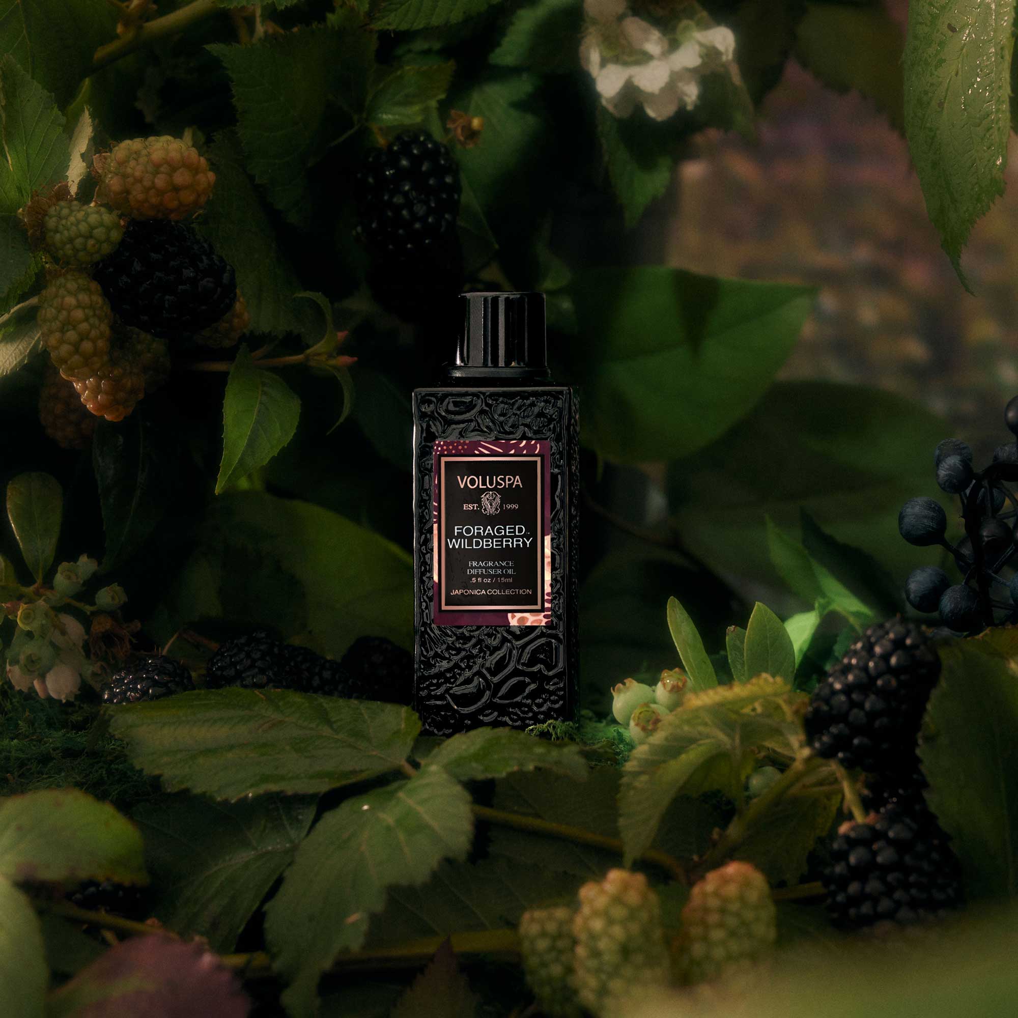 Foraged Wildberry Diffusor Oil