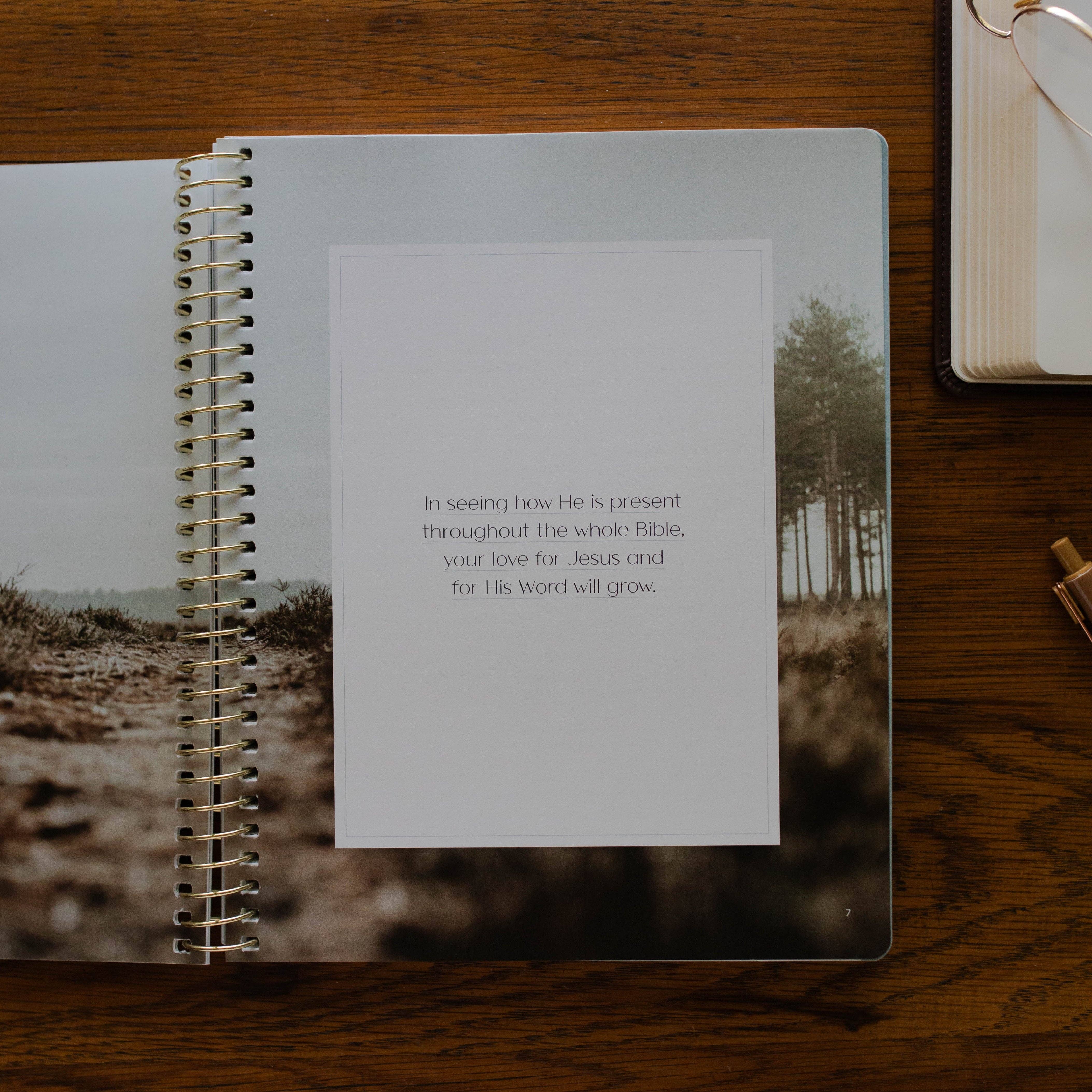 Christ in All of Scripture | Volume 3 Bible Study