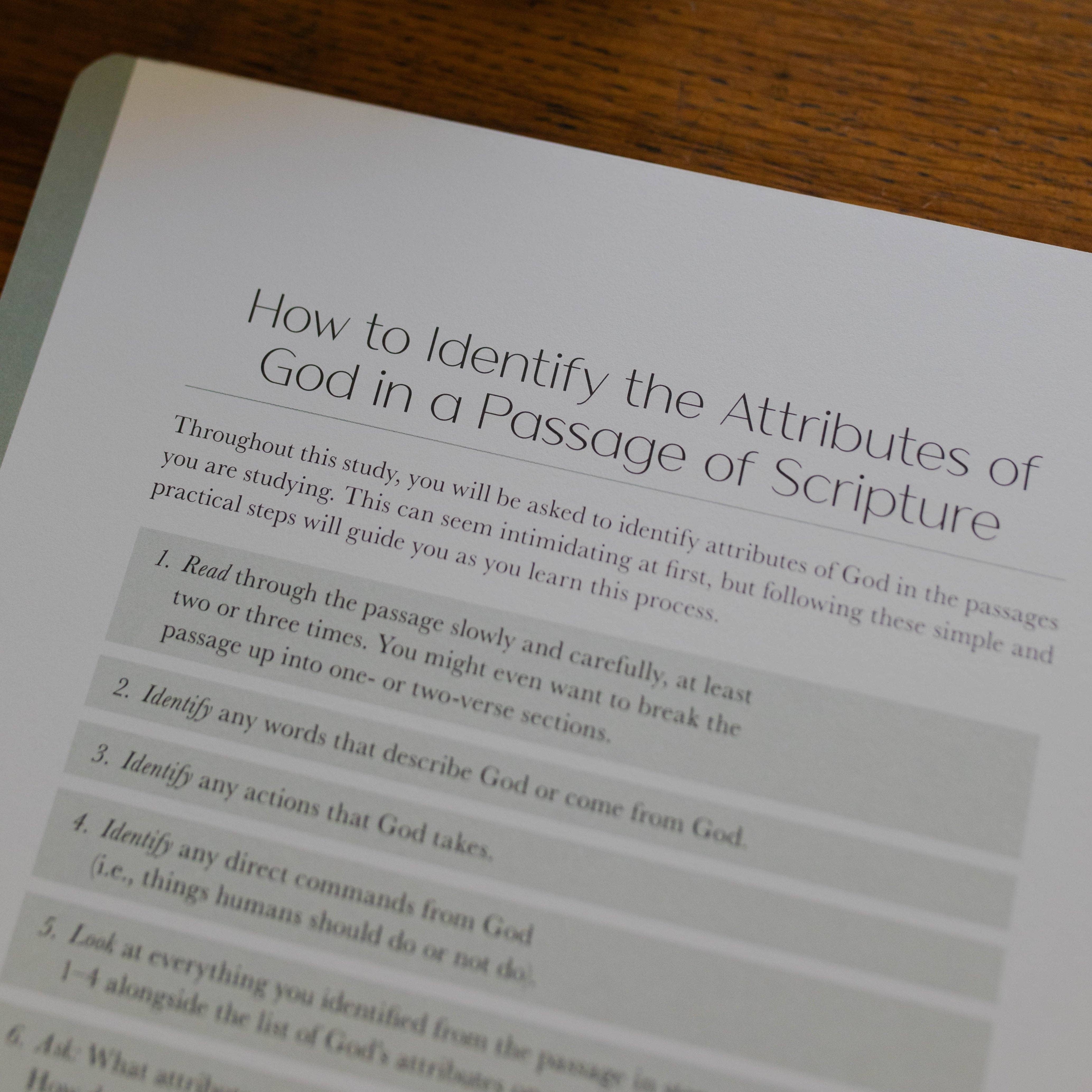 Christ in All of Scripture | Volume 1 Bible Study