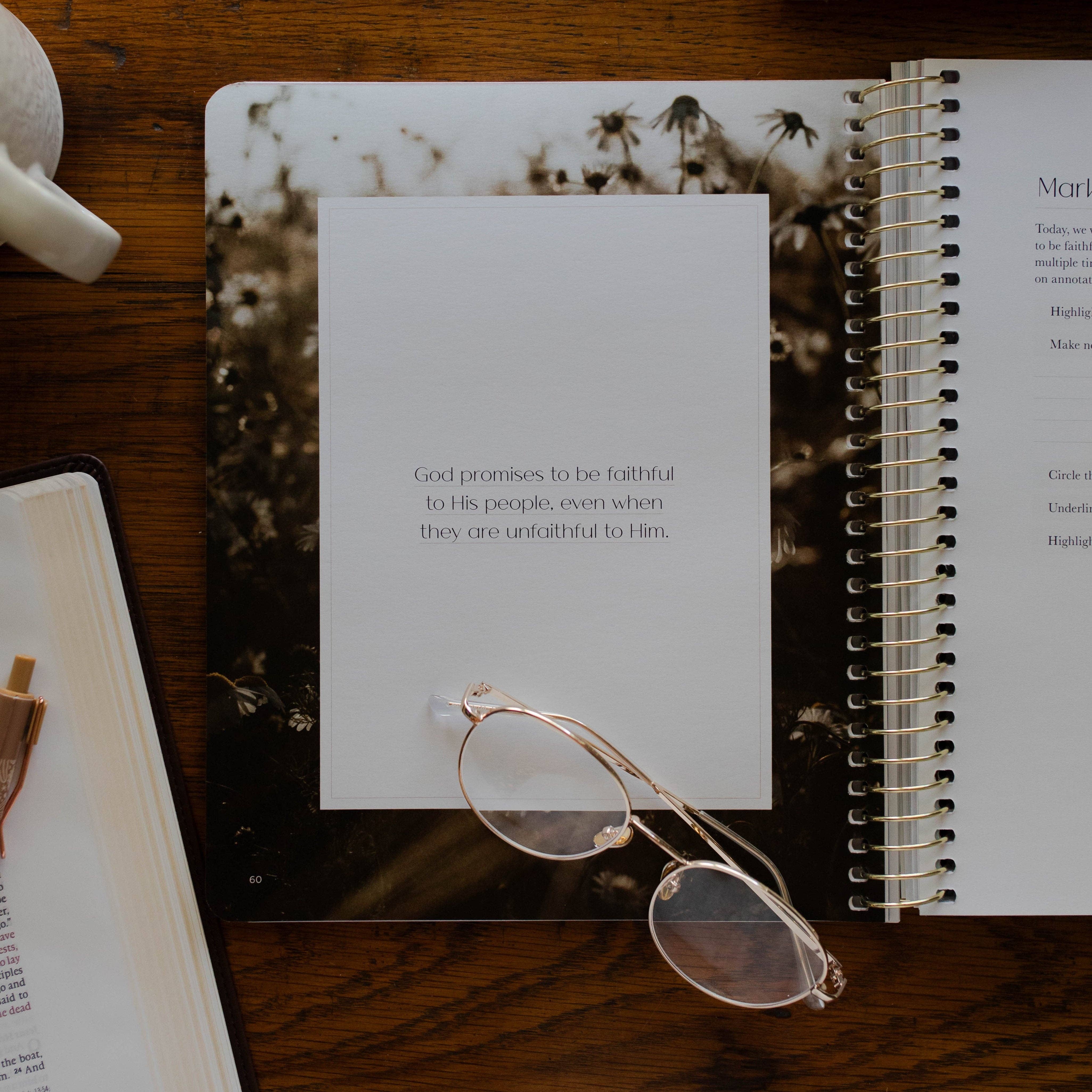 Christ in All of Scripture | Volume 4 Bible Study