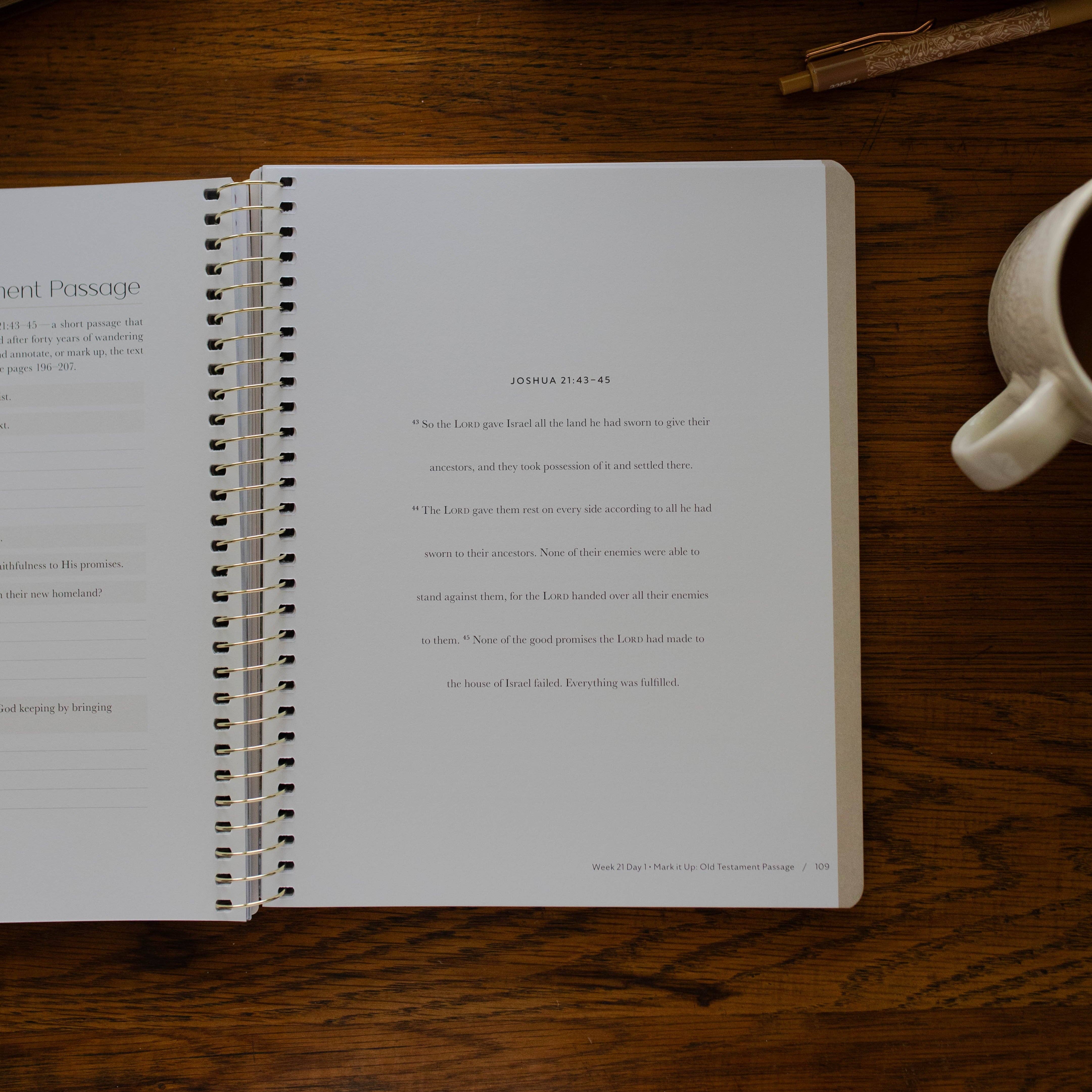 Christ in All of Scripture | Volume 2 Bible Study 