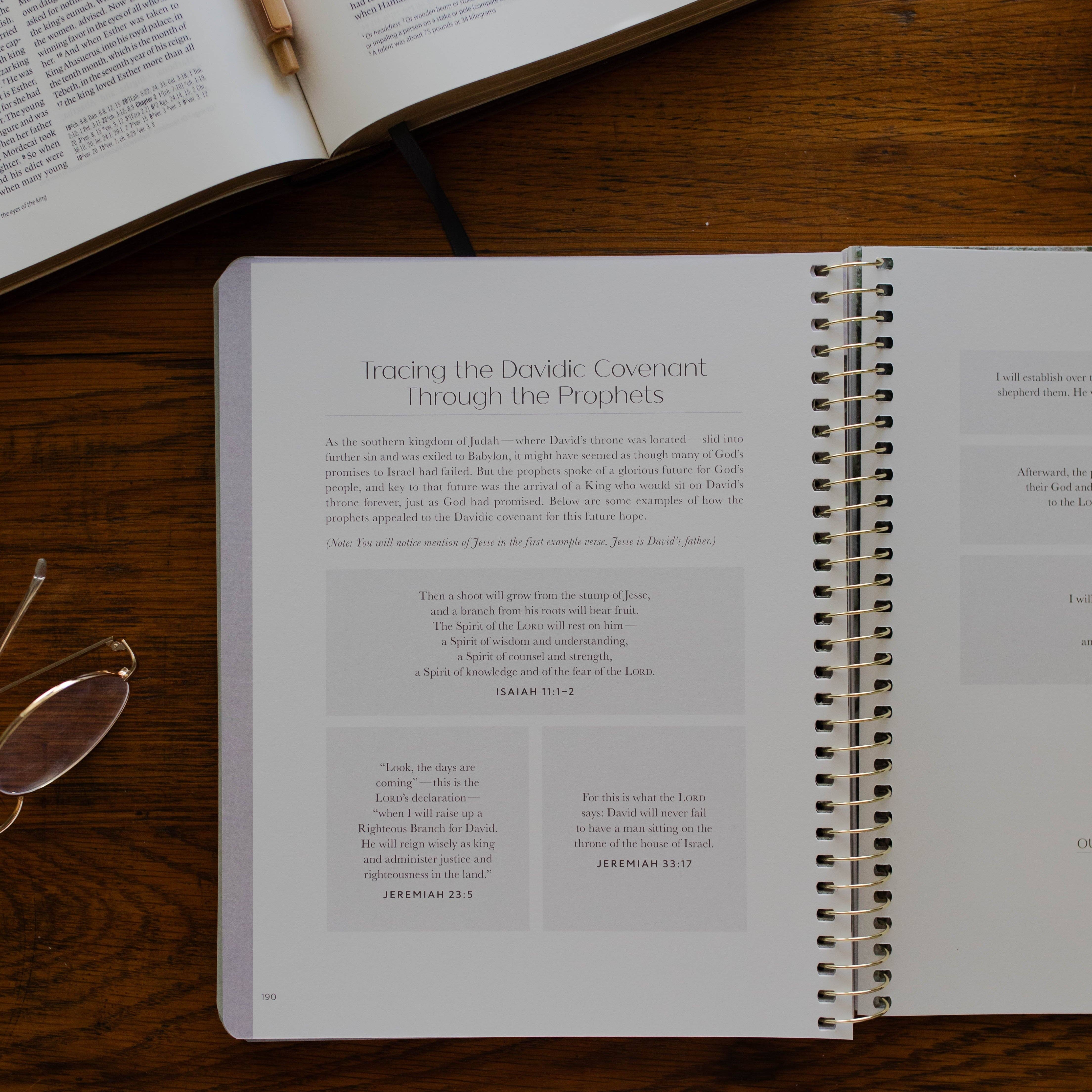 Christ in All of Scripture | Volume 2 Bible Study 