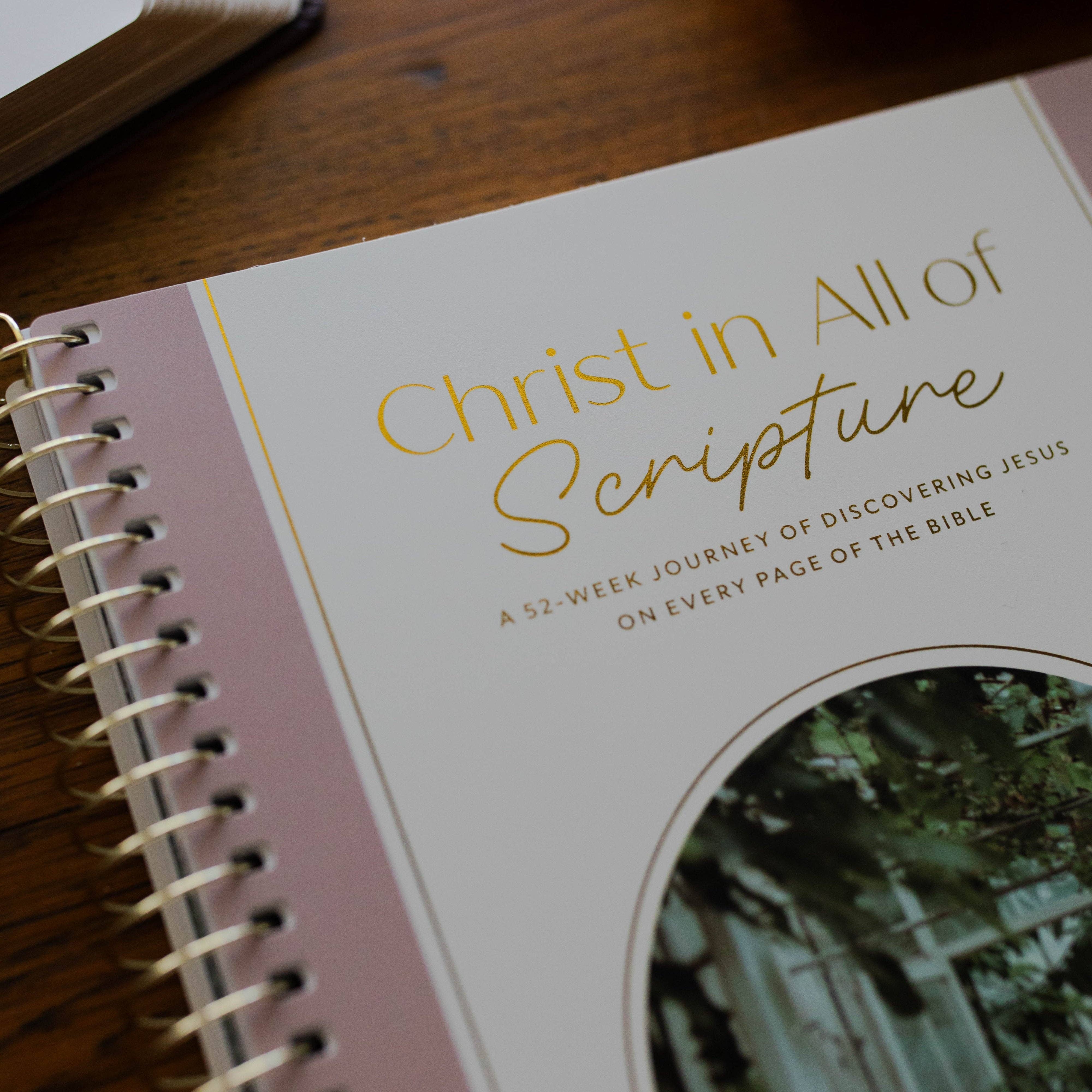 Christ in All of Scripture | Volume 2 Bible Study 