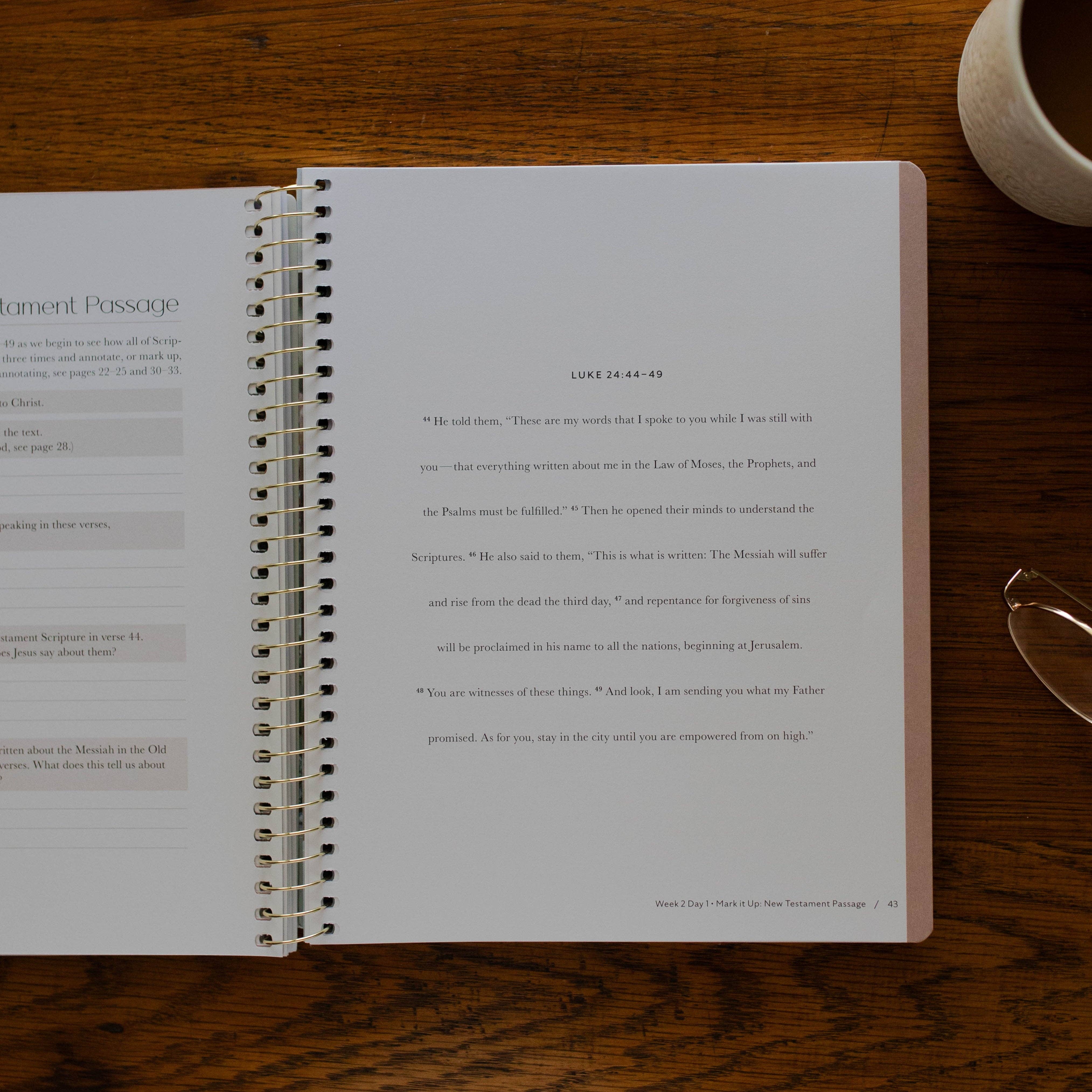 Christ in All of Scripture | Volume 1 Bible Study