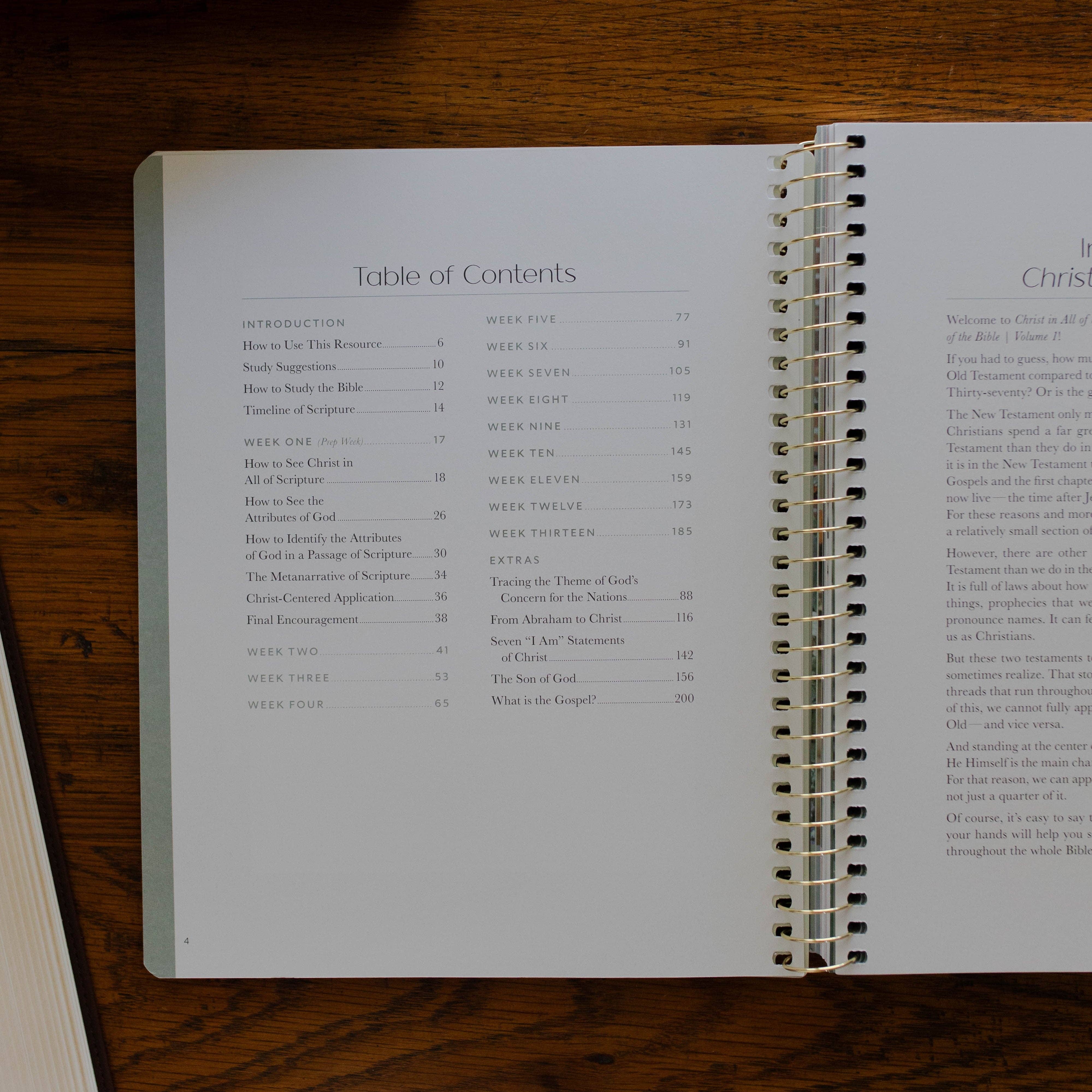 Christ in All of Scripture | Volume 1 Bible Study