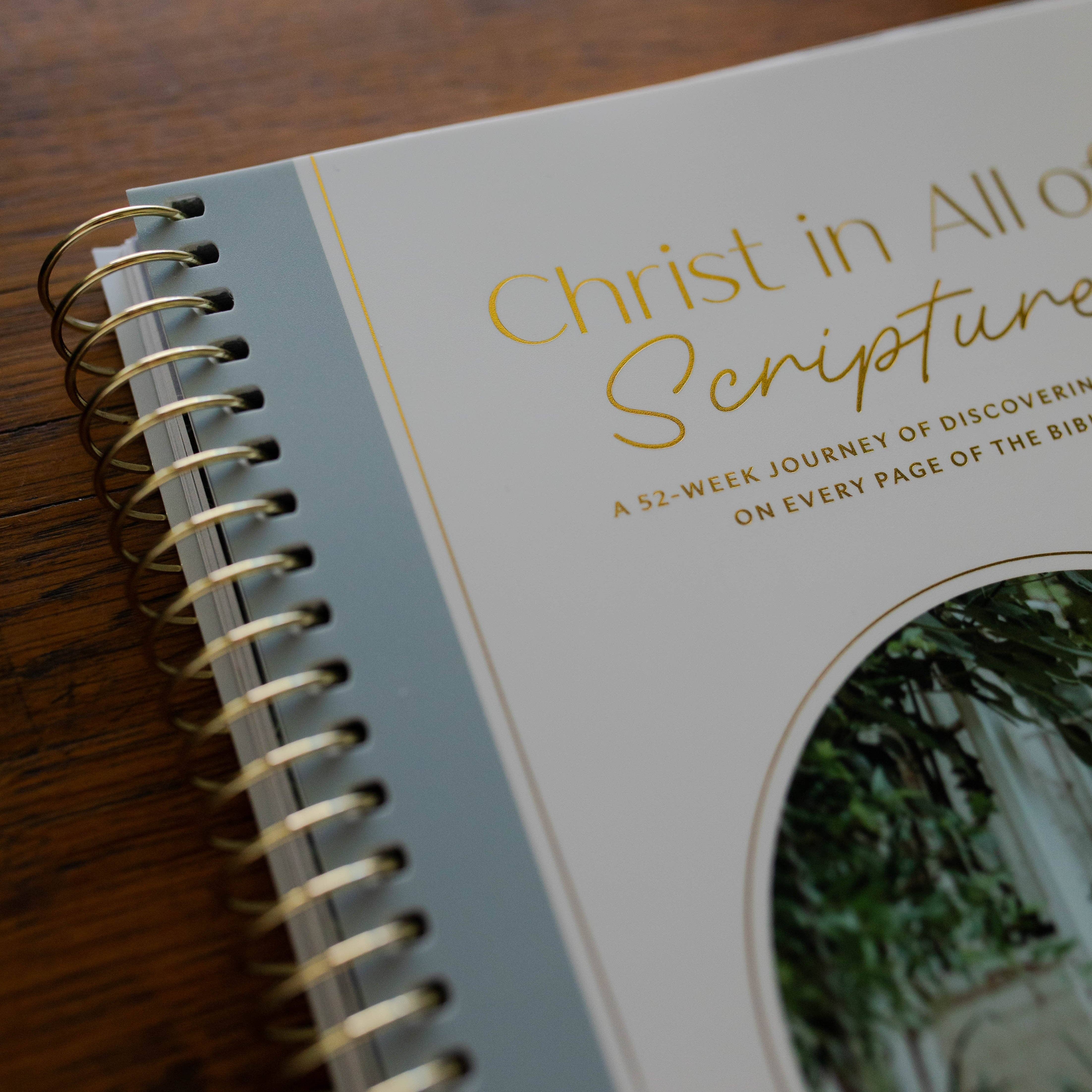 Christ in All of Scripture | Volume 3 Bible Study 