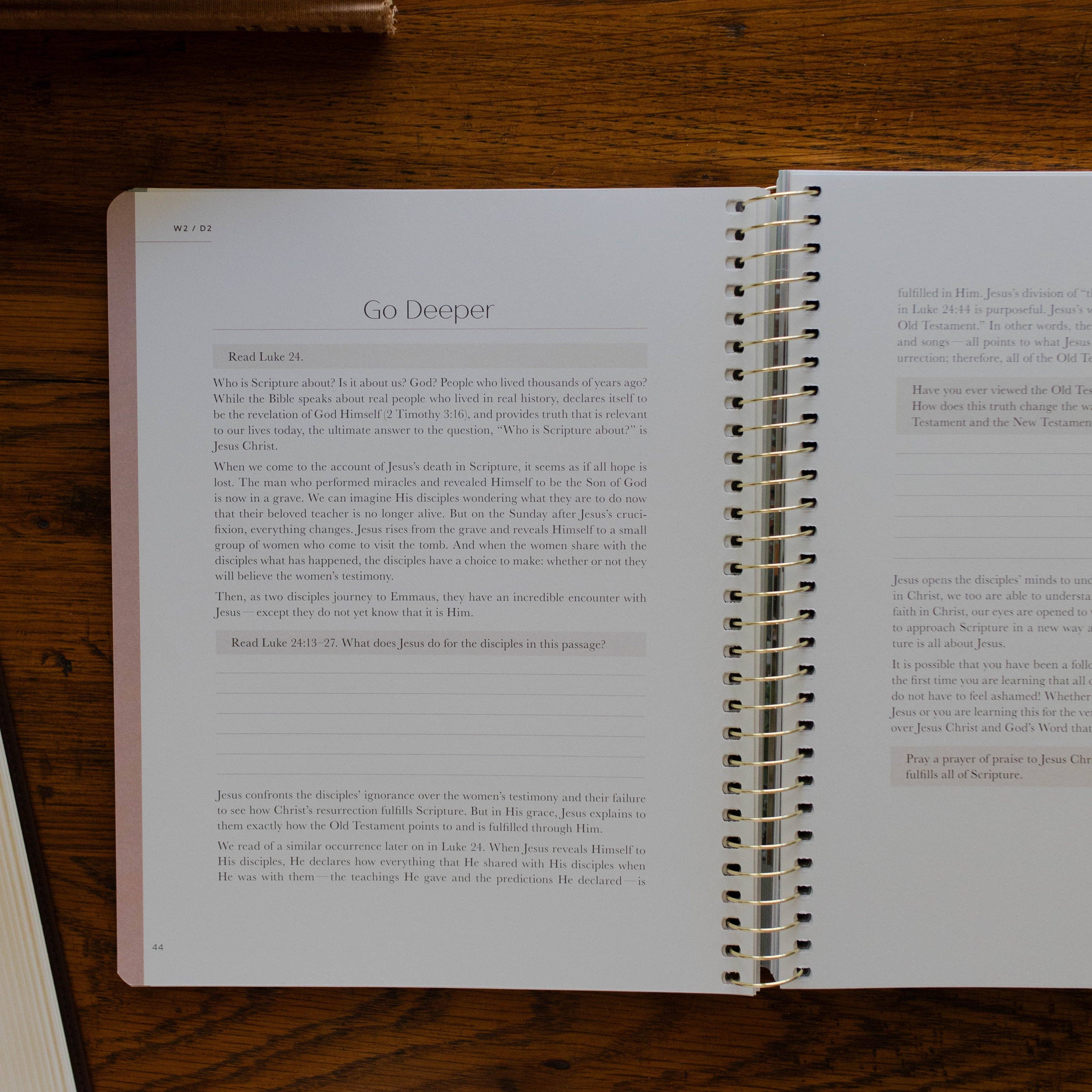 Christ in All of Scripture | Volume 1 Bible Study