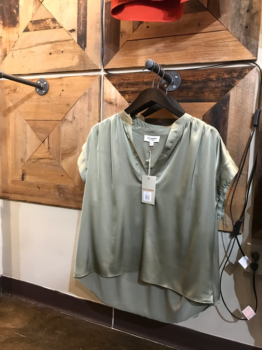 V neck SS top