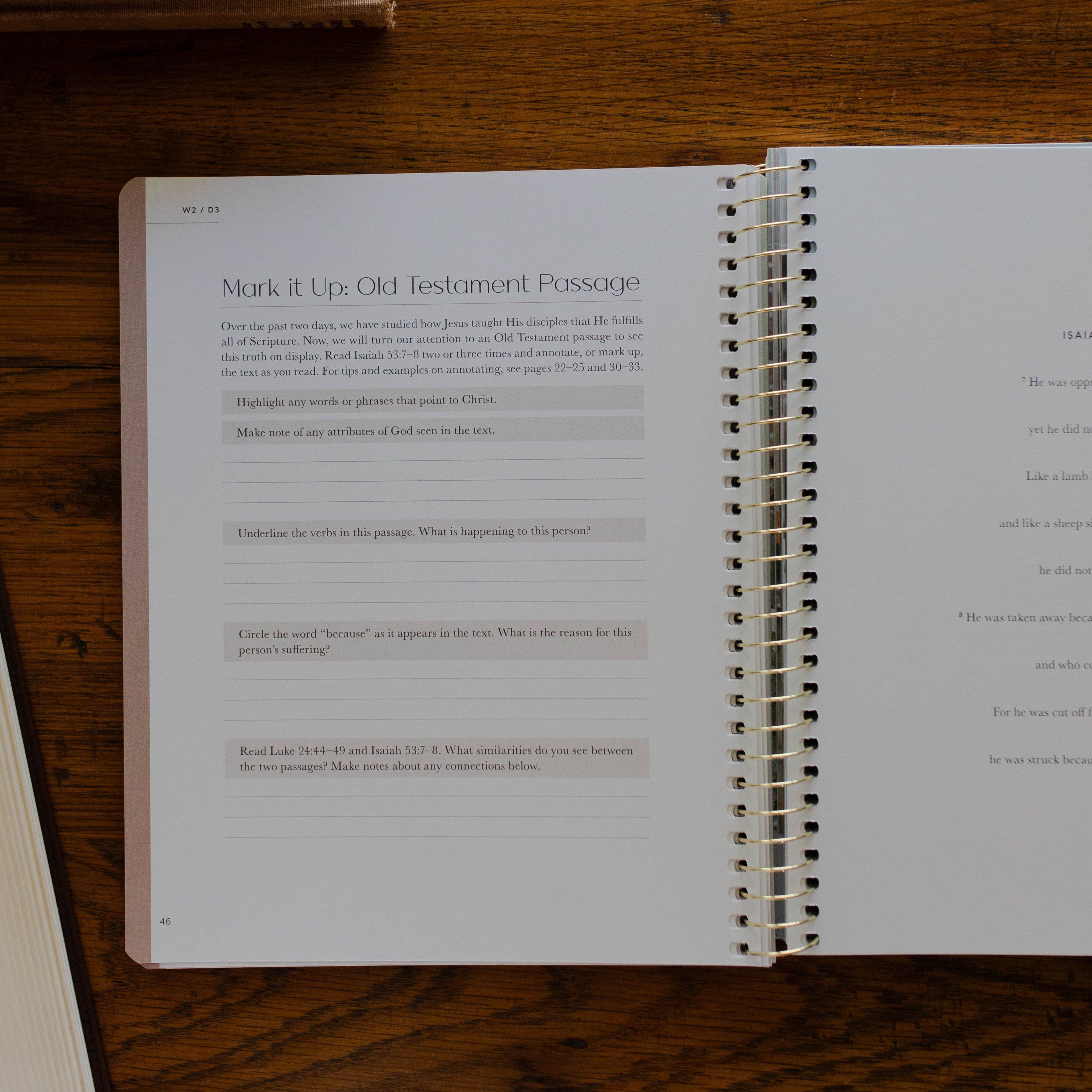 Christ in All of Scripture | Volume 1 Bible Study
