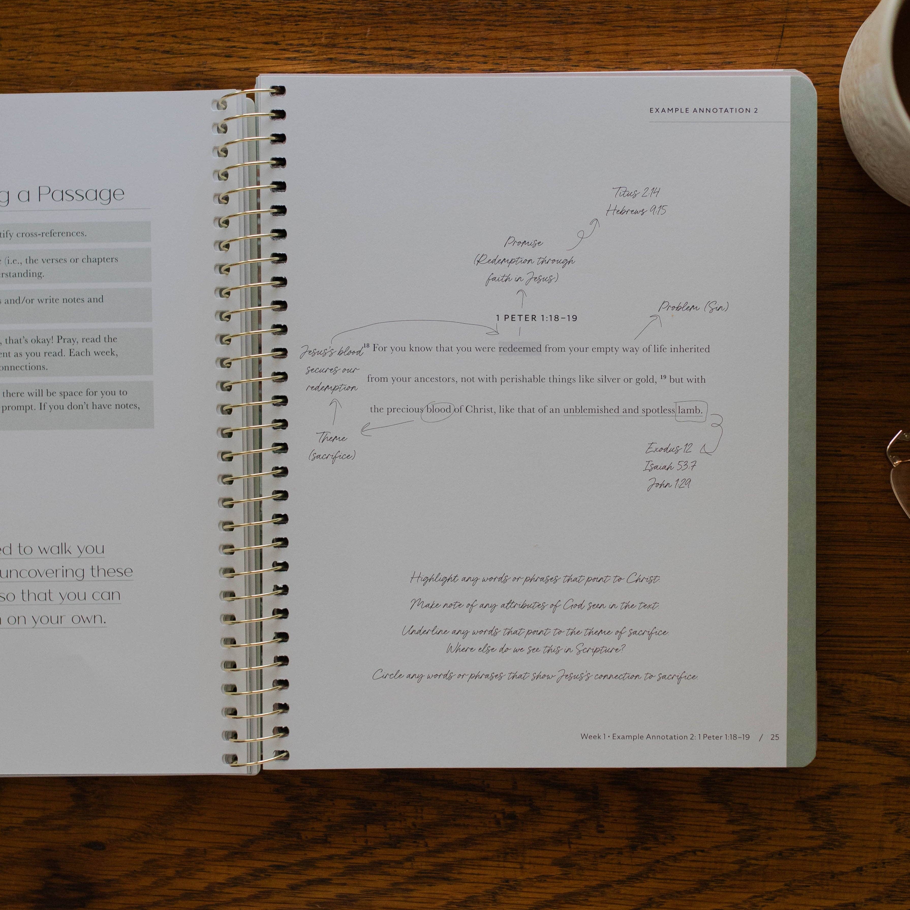 Christ in All of Scripture | Volume 1 Bible Study