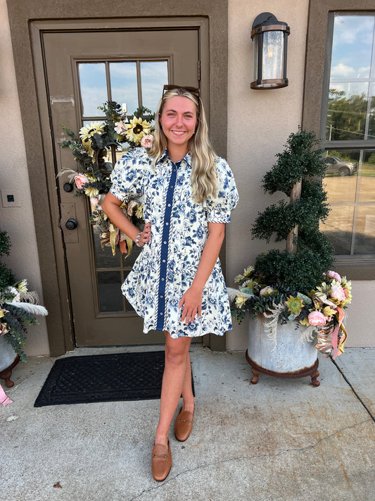 Blue Willow Mini Dress