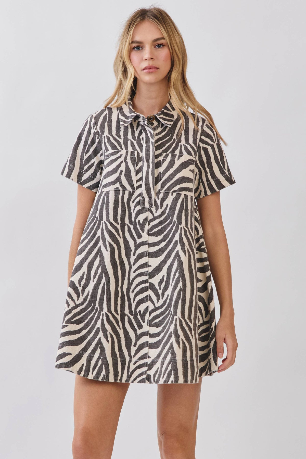 Zebra print mini dress
