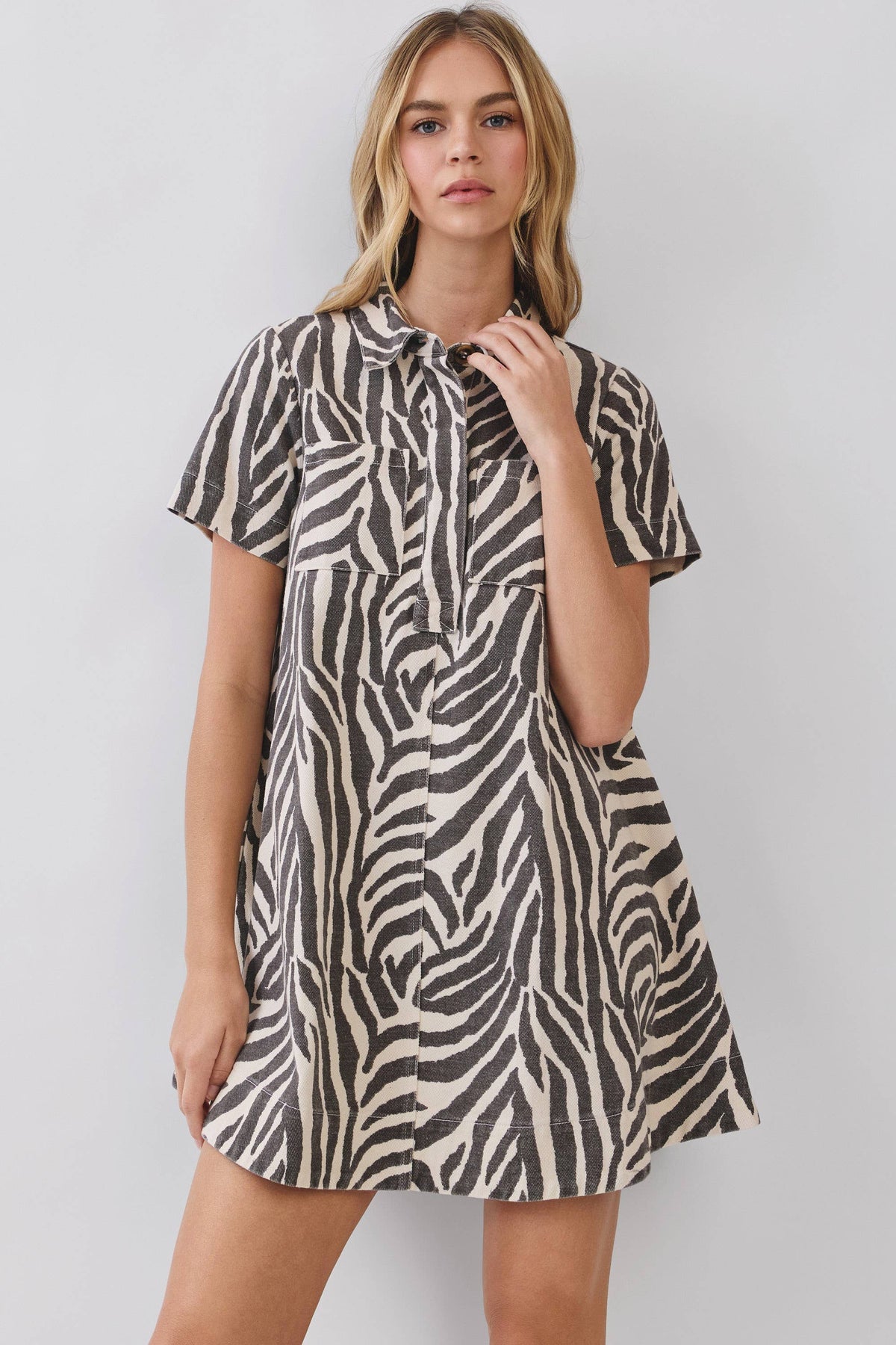 Zebra print mini dress