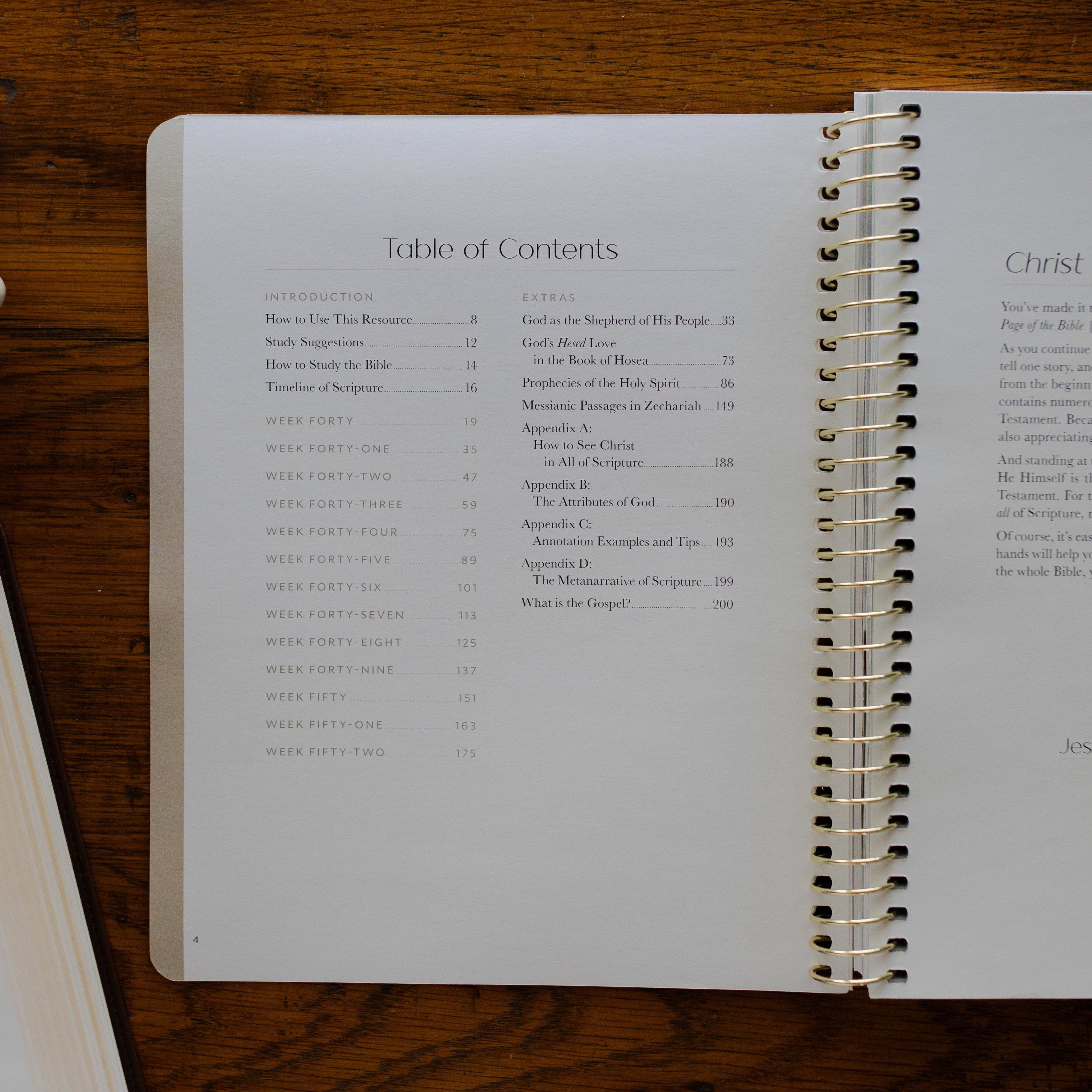Christ in All of Scripture | Volume 4 Bible Study 