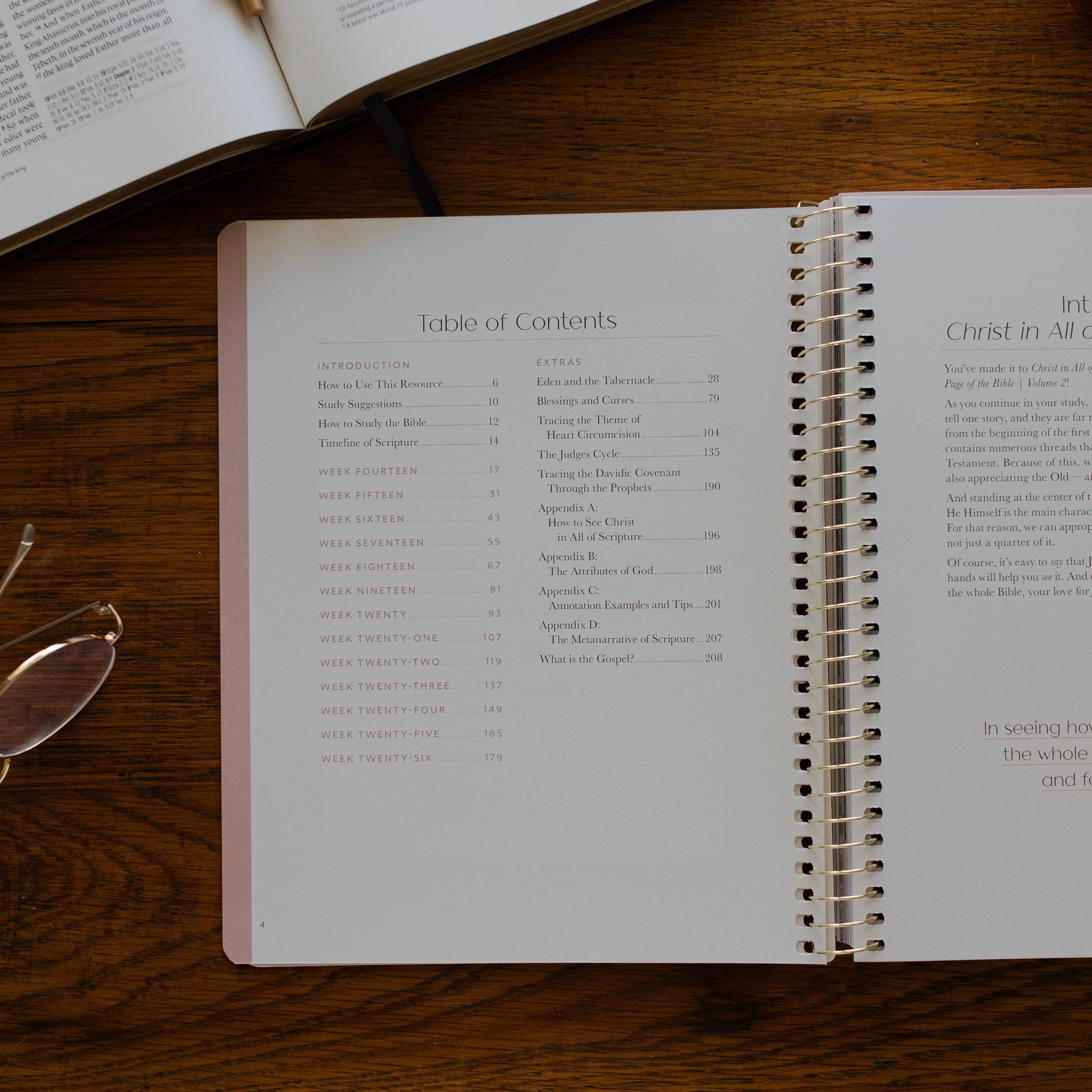 Christ in All of Scripture | Volume 2 Bible Study 