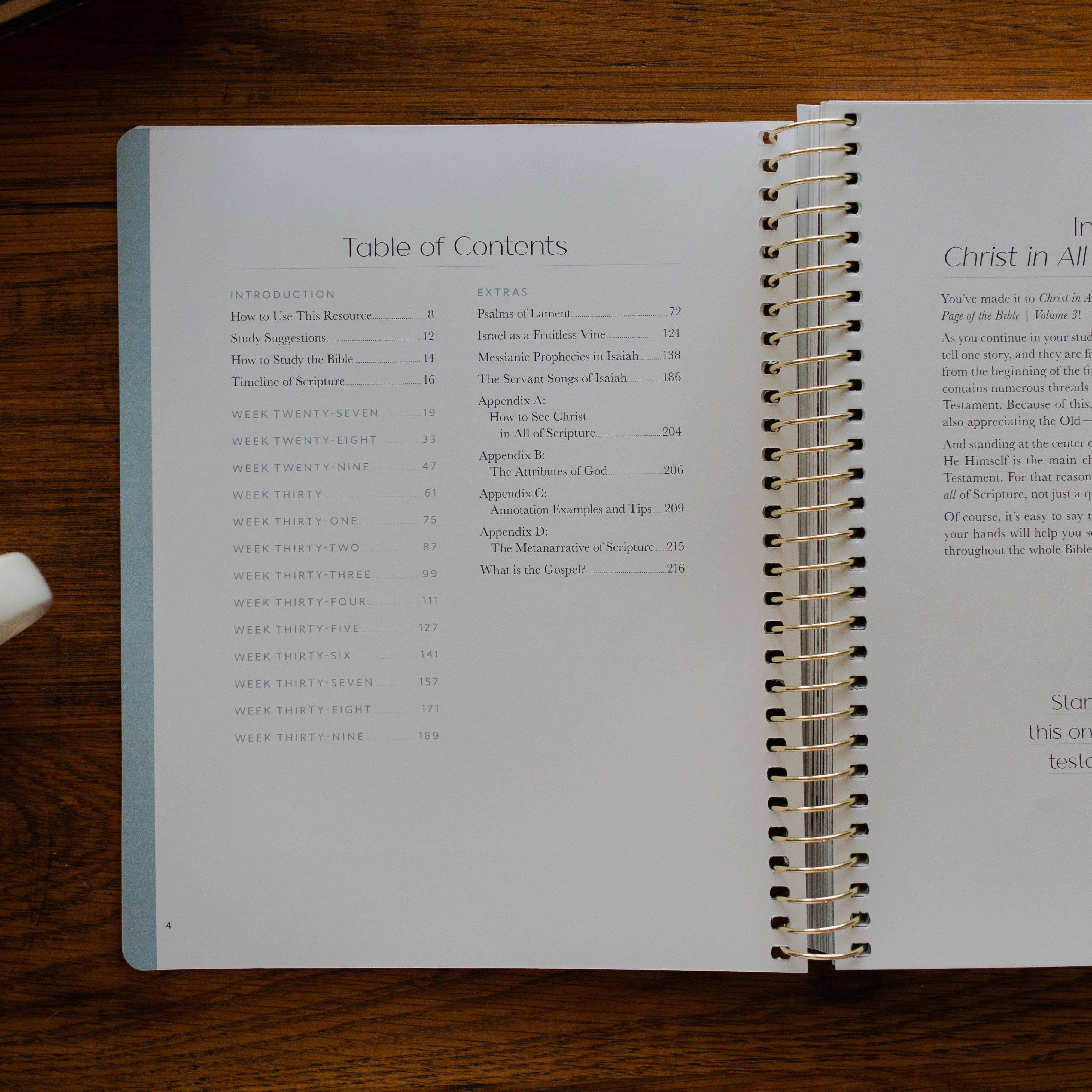 Christ in All of Scripture | Volume 3 Bible Study 