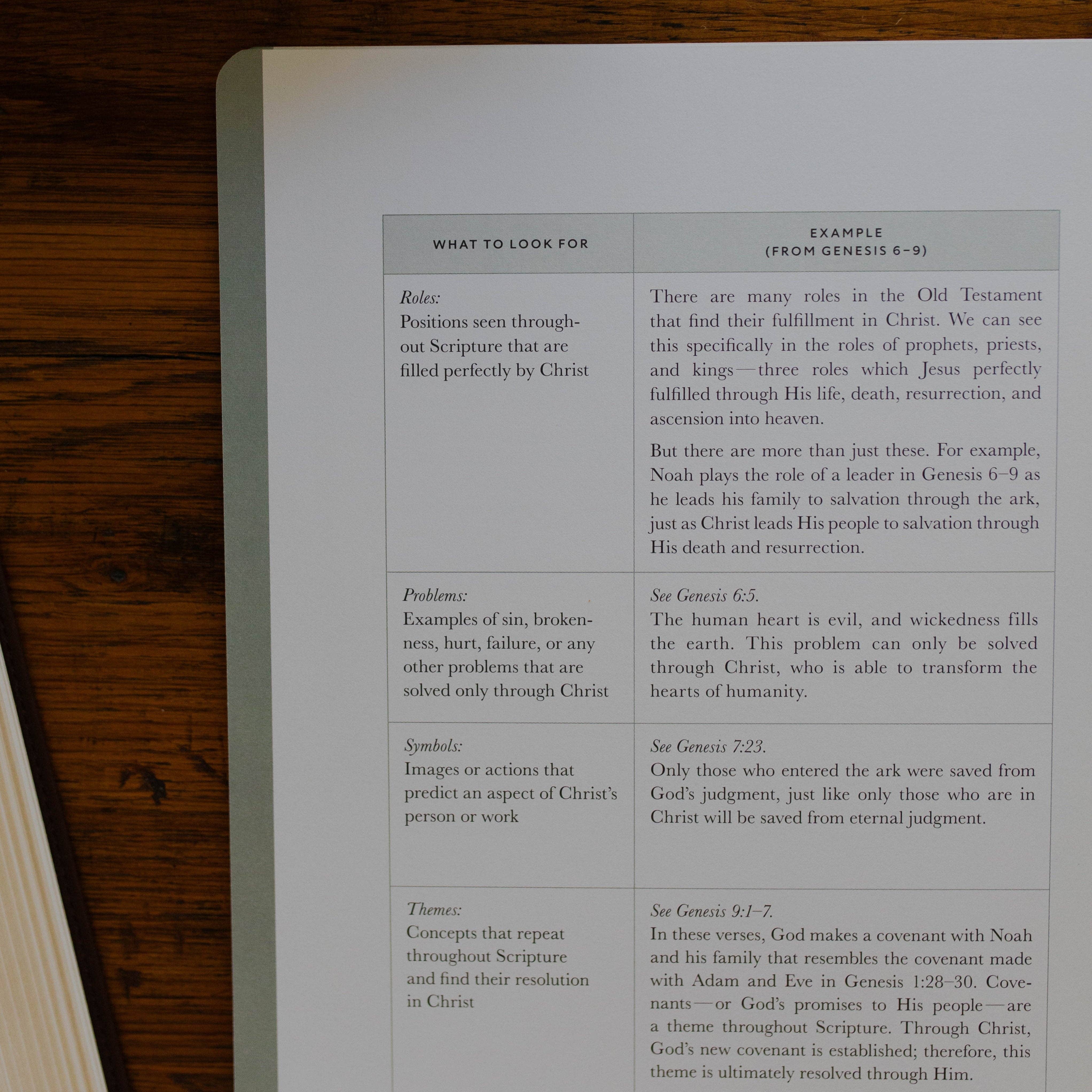 Christ in All of Scripture | Volume 1 Bible Study