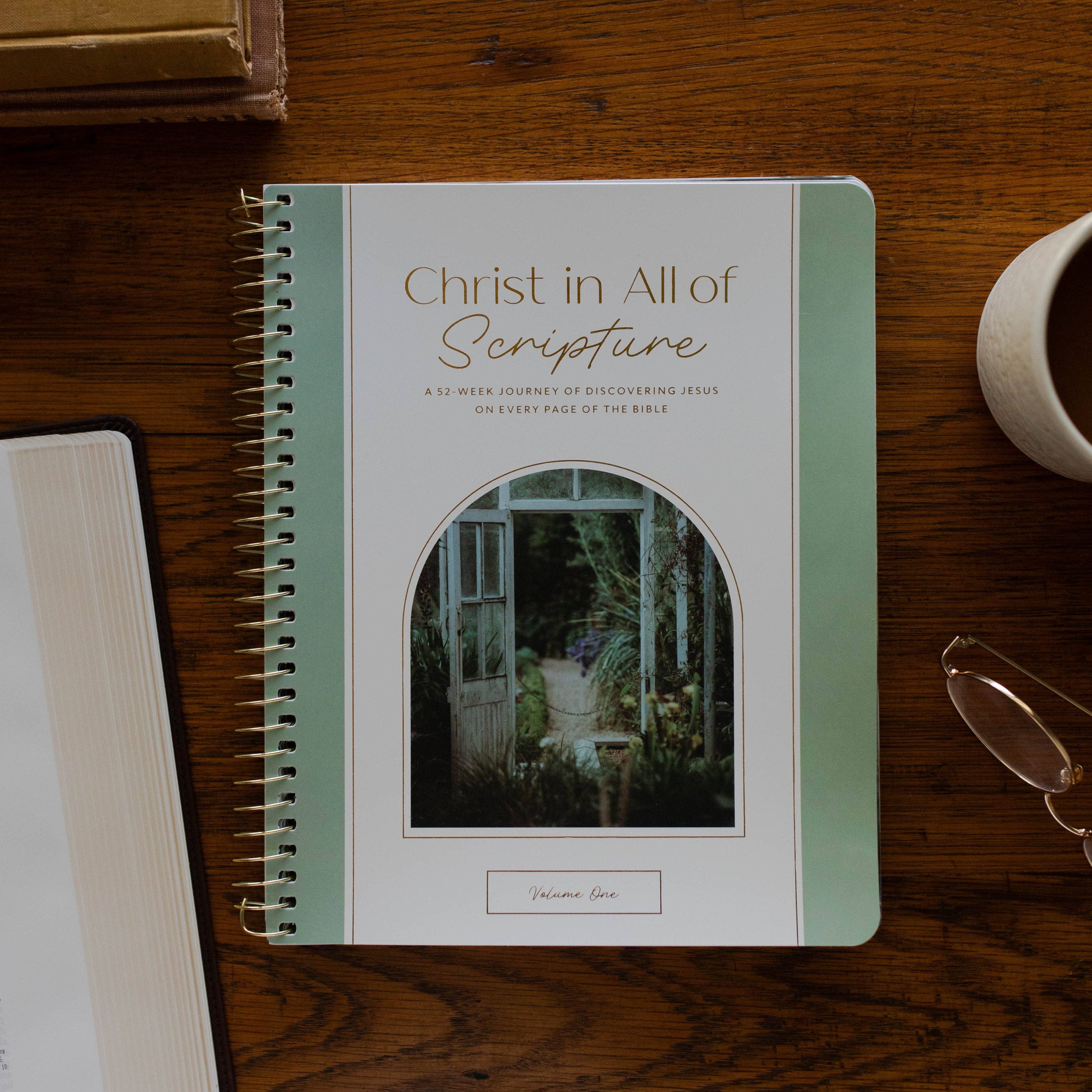Christ in All of Scripture | Volume 1 Bible Study