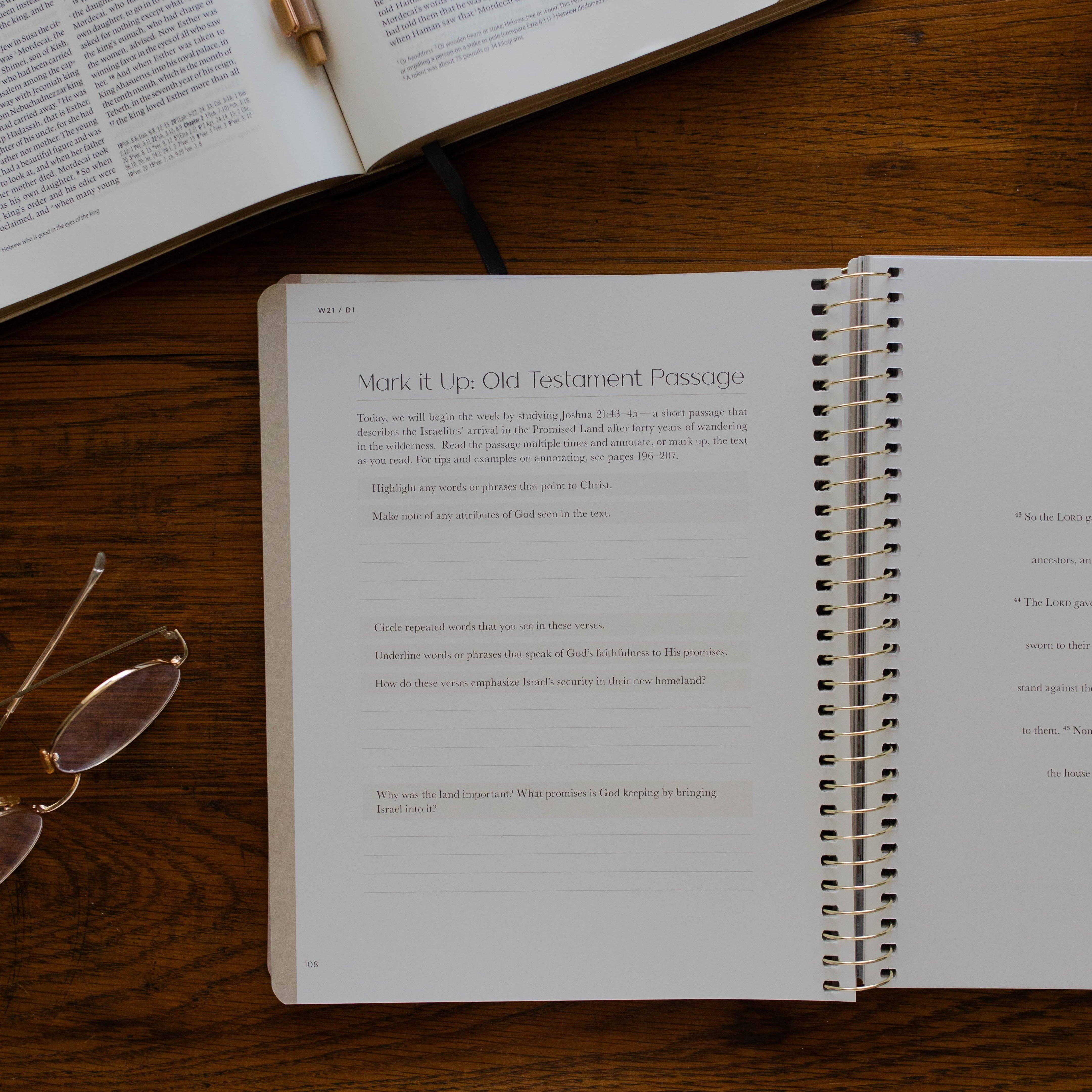 Christ in All of Scripture | Volume 2 Bible Study 