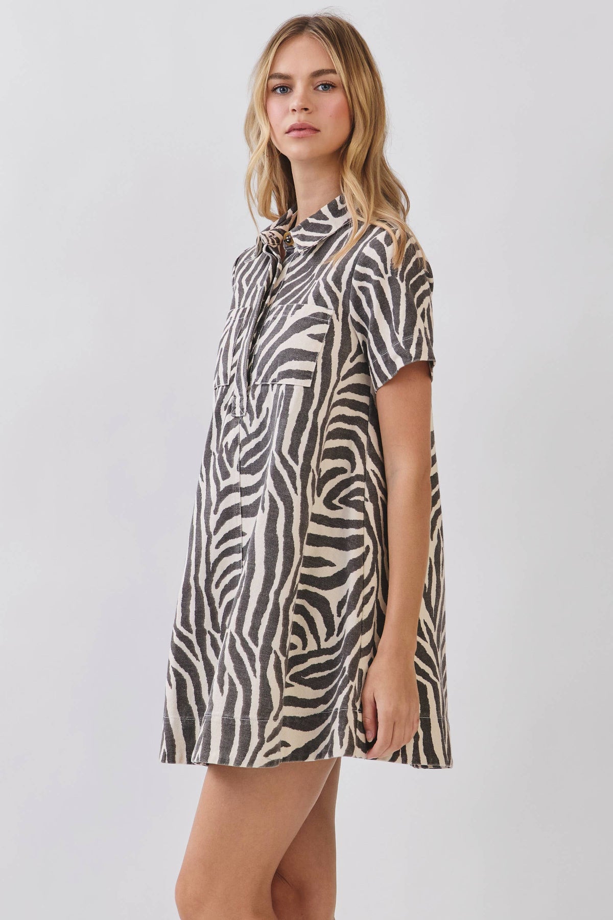 Zebra print mini dress