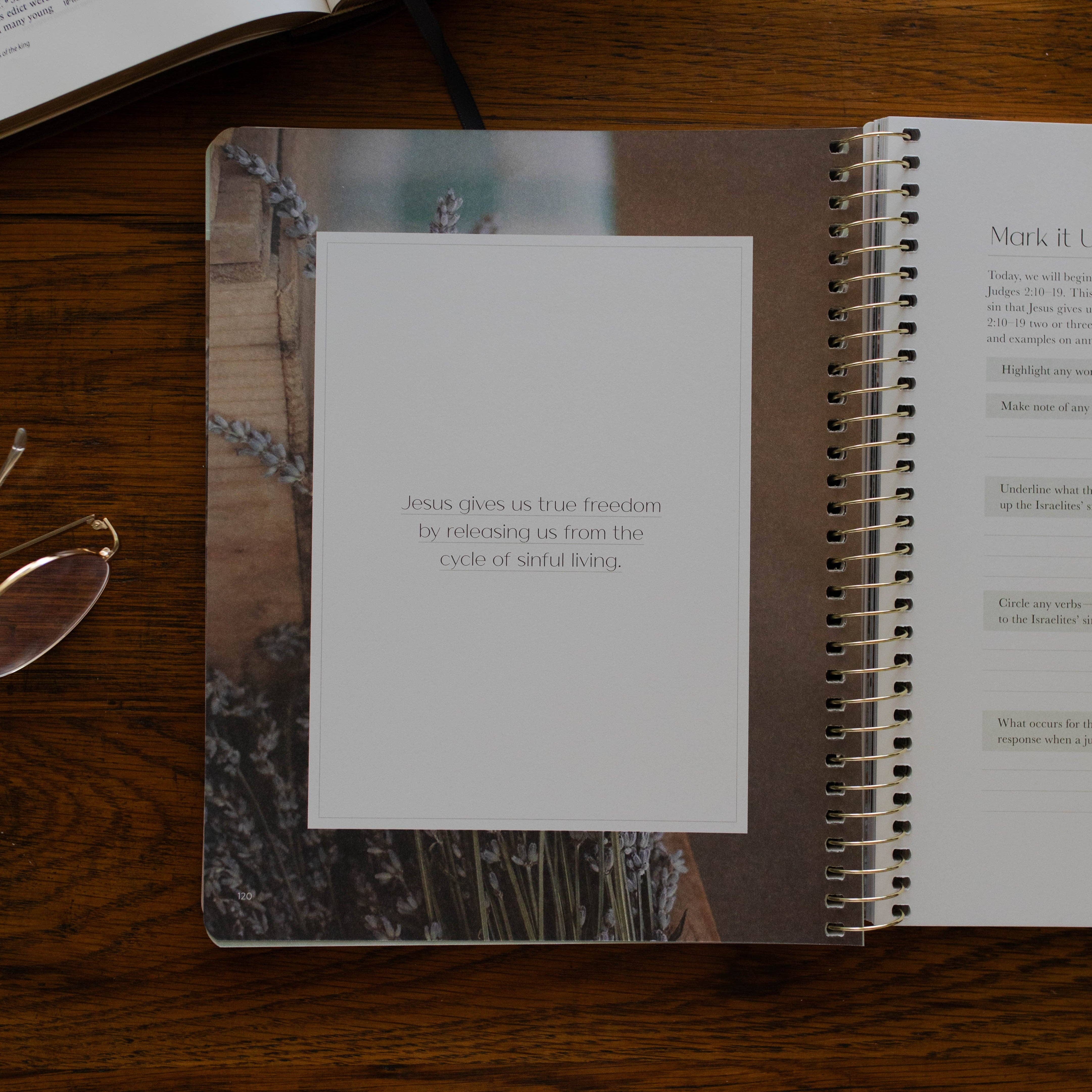 Christ in All of Scripture | Volume 2 Bible Study 