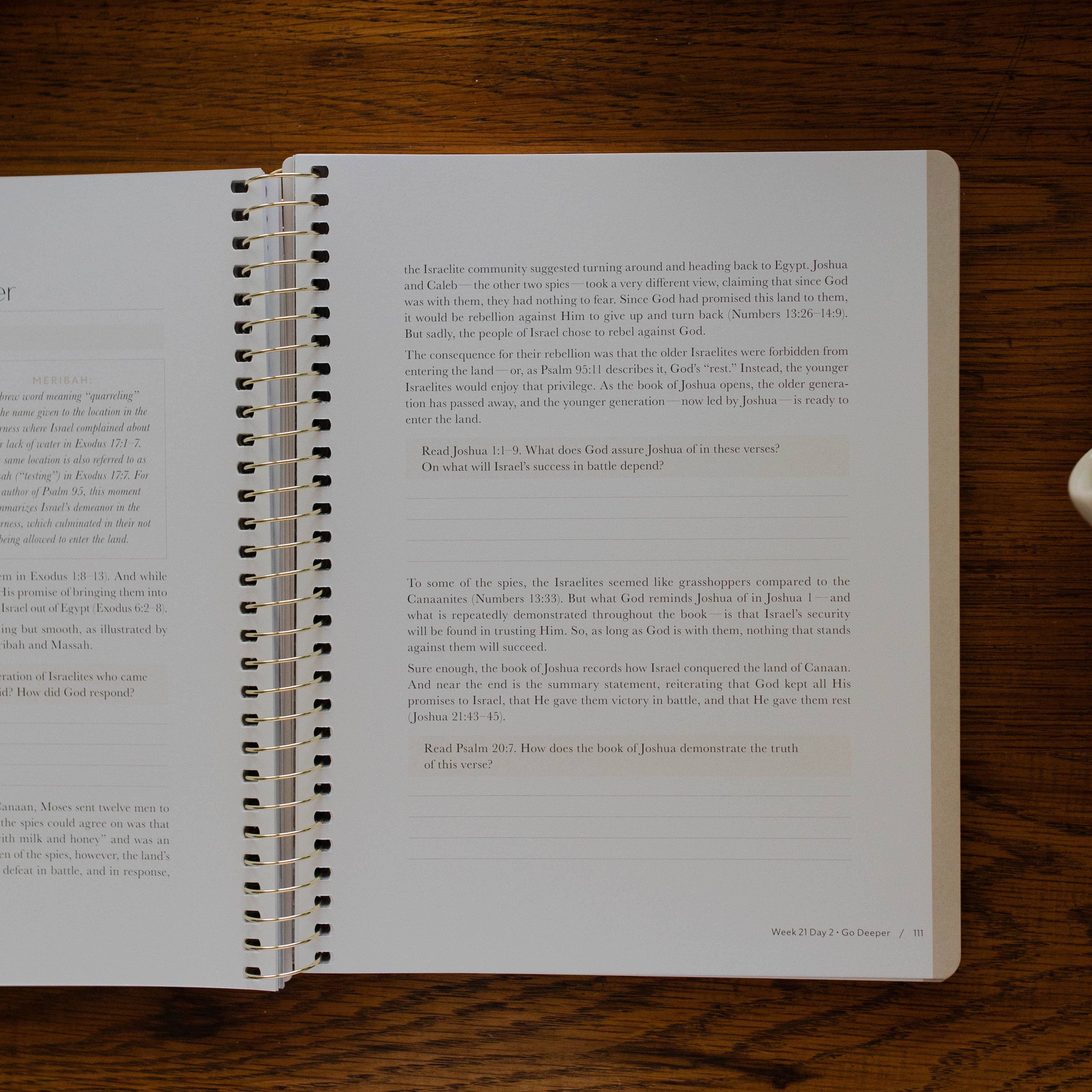 Christ in All of Scripture | Volume 2 Bible Study 